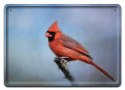 PLAKAT METALOWY SZYLD TABLICZKA RETRO VINTAGE #11233