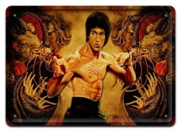 PLAKAT METALOWY SZYLD TABLICZKA RETRO VINTAGE #11359
