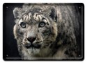 PLAKAT METALOWY SZYLD TABLICZKA RETRO VINTAGE #11489