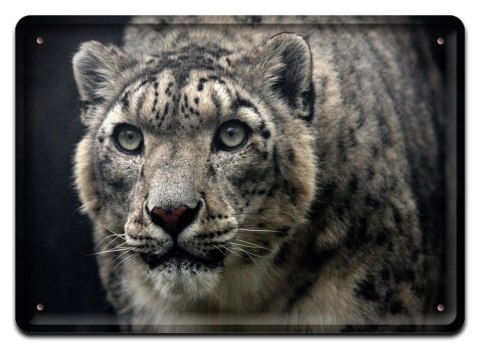 PLAKAT METALOWY SZYLD TABLICZKA RETRO VINTAGE #11489
