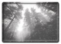 PLAKAT METALOWY SZYLD TABLICZKA RETRO VINTAGE #11495