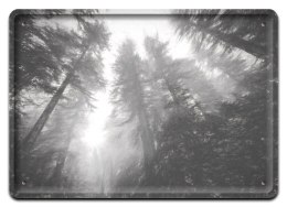 PLAKAT METALOWY SZYLD TABLICZKA RETRO VINTAGE #11495