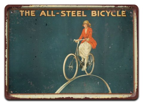 ROWER PLAKAT METALOWY SZYLD OBRAZEK RETRO #20667