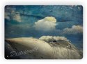 SAMOLOT METALOWY SZYLD PLAKAT RETRO #03932