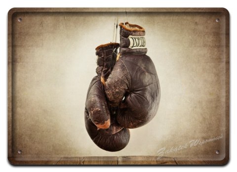 SPORT METALOWY SZYLD PLAKAT OBRAZEK RETRO #02856