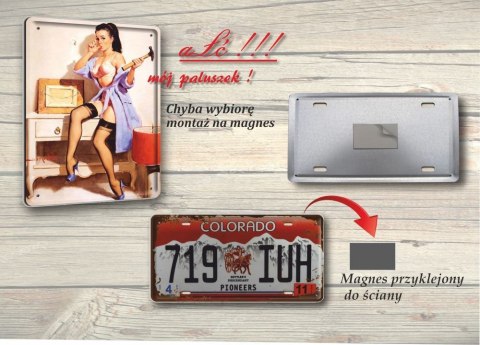 U S A METALOWY SZYLD OBRAZEK VINTAGE RETRO #09725