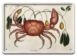 ZOOLOGIA PLAKAT METALOWY SZYLD OBRAZEK #21141
