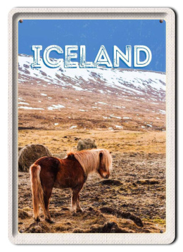 ISLANDIA PLAKAT METALOWY OBRAZEK #13567