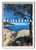 KOSTA BRAWA PLAKAT METALOWY OBRAZEK #13594