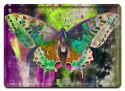 MOTYL SZYLD PLAKAT METALOWY OBRAZEK #13966