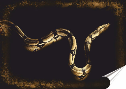 Wąż Plakat Samoprzylepny-Folia (motyw metalowego szyldu)#14174