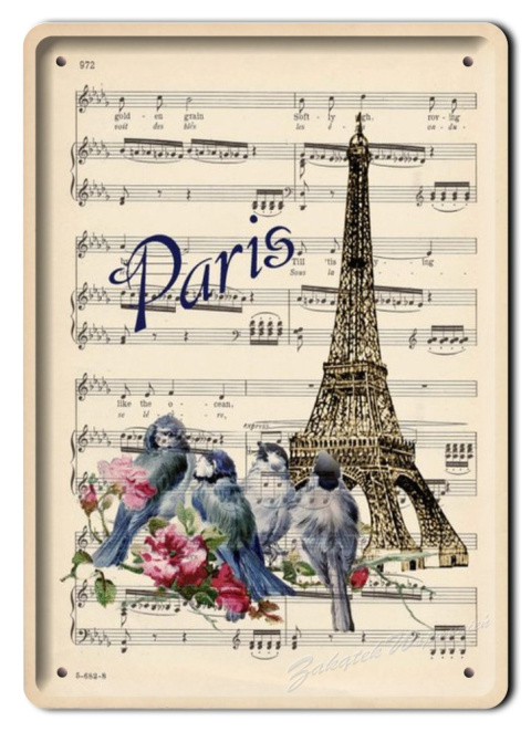 PARIS METALOWY SZYLD PLAKAT VINTAGE RETRO #02538