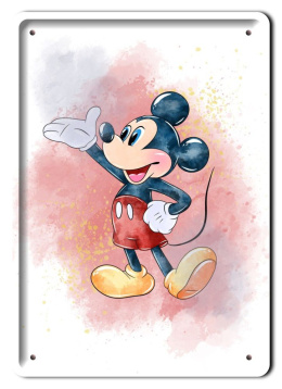 Disney Metalowy Plakat Bajkowy Pokój Dziecka Ściana Obrazek Plakietka#18434