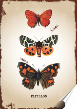 Motyle Plakat Samoprzylepny Plakietka(motyw metalowego szyldu)#00433