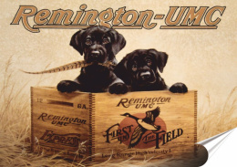 Remington Plakat Samoprzylepny Plakietka(motyw metalowego szyldu)#00735