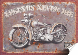 Harley Plakat Samoprzylepny Plakietka(motyw metalowego szyldu)#00739
