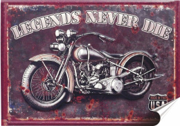 Harley Plakat Samoprzylepny Plakietka(motyw metalowego szyldu)#00740