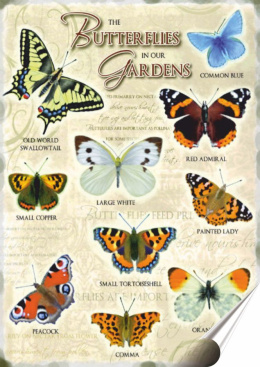 Motyle Plakat Samoprzylepny Plakietka(motyw metalowego szyldu)#00858