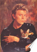 David Bowie Plakat Samoprzylepny Plakietka(motyw metalowego szyldu)#01671