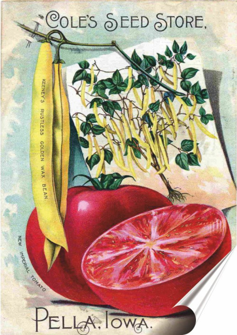 Owoce Plakat Samoprzylepny Plakietka(motyw metalowego szyldu)#02153