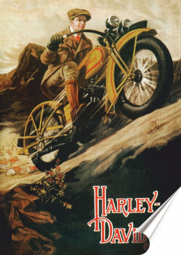 Harley Plakat Samoprzylepny Plakietka(motyw metalowego szyldu)#02231