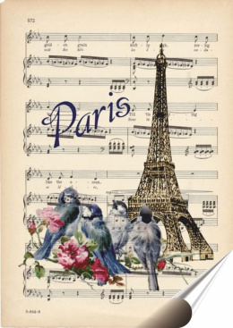 Paryż Plakat Samoprzylepny Retro Plakietka(motyw metalowego szyldu)#02538