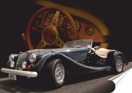 Jaguar Plakat Samoprzylepny Retro Plakietka(motyw metalowego szyldu)#02762