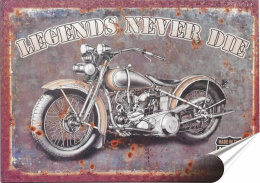 Harley Plakat Samoprzylepny Plakietka(motyw metalowego szyldu)#03089