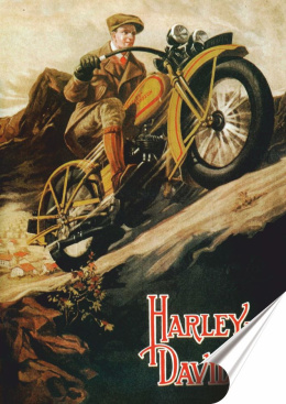 Harley Plakat Samoprzylepny Plakietka(motyw metalowego szyldu)#03443
