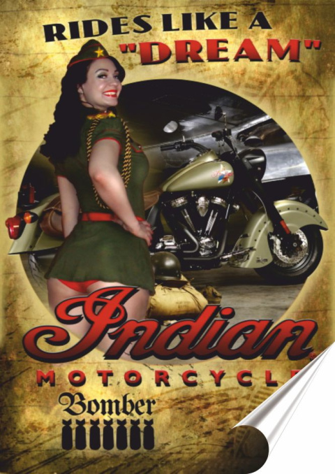 Harley Plakat Samoprzylepny Plakietka(motyw metalowego szyldu)#03447