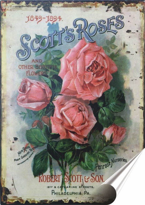 Róże Plakat Samoprzylepny Retro Plakietka(motyw metalowego szyldu)#03751