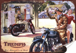 Triumph Plakat Samoprzylepny Plakietka(motyw metalowego szyldu)#07213