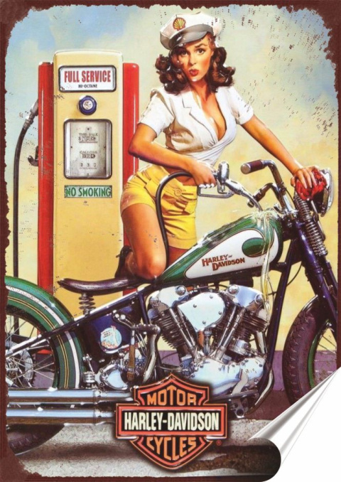 Harley Plakat Samoprzylepny Plakietka(motyw metalowego szyldu)#07289