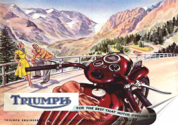 Triumph Plakat Samoprzylepny Plakietka(motyw metalowego szyldu)#08118