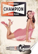 Champion Plakat Samoprzylepny Plakietka(motyw metalowego szyldu)#08351