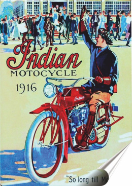 Indian Plakat Samoprzylepny Retro Plakietka(motyw metalowego szyldu)#08430