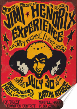 Hendrix Plakat Samoprzylepny Plakietka(motyw metalowego szyldu)#08632