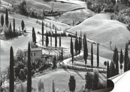 Prowansja Plakat Samoprzylepny Plakietka(motyw metalowego szyldu)#10685