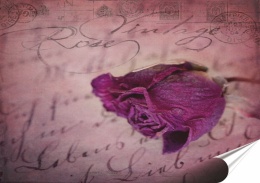 Róża Plakat Samoprzylepny Retro Plakietka(motyw metalowego szyldu)#10795