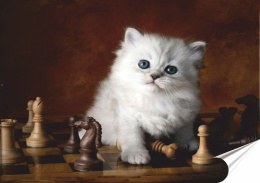 Kotek Plakat Samoprzylepny Retro Plakietka(motyw metalowego szyldu)#111