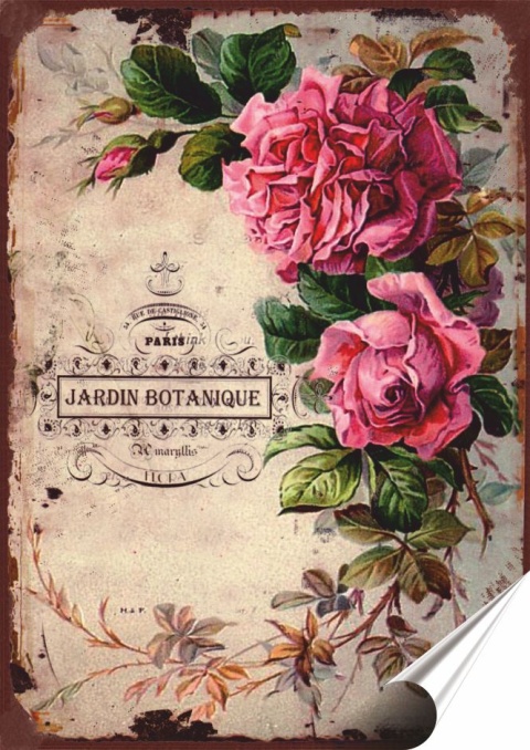 Róże Plakat Samoprzylepny Retro Plakietka(motyw metalowego szyldu)#11137