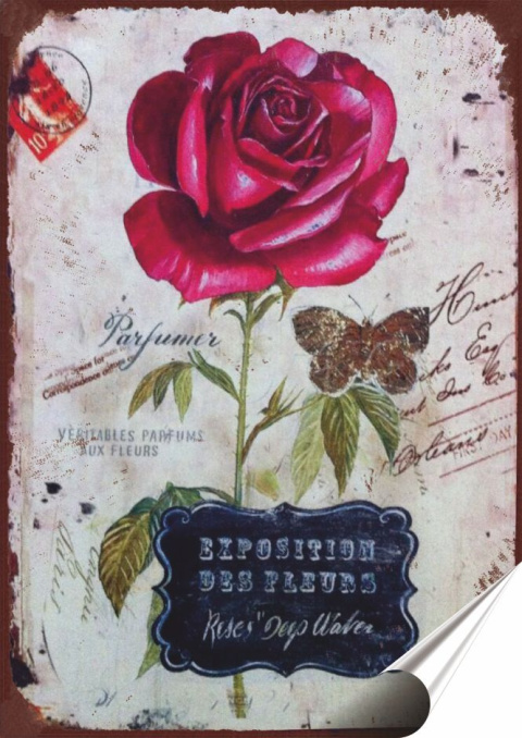 Róża Plakat Samoprzylepny Retro Plakietka(motyw metalowego szyldu)#11140