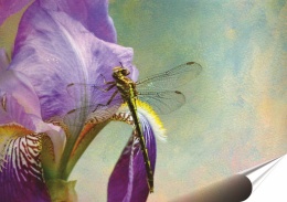 Kwiaty Plakat Samoprzylepny Retro Plakietka(motyw metalowego szyldu)#11182