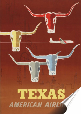 Teksas Plakat folia Samoprzylepna Plakietka(motyw metalowego szyldu)#20193