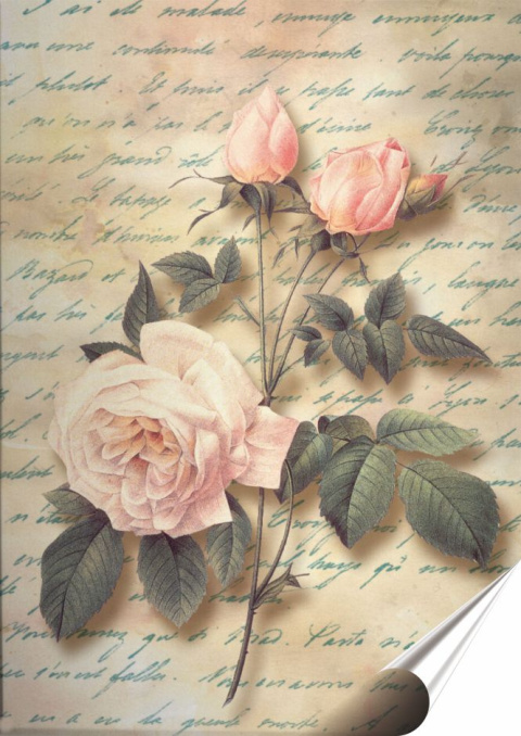 Róża retro Plakat folia Samoprzylepna Plakietka(motyw metalowego szyldu)#20234