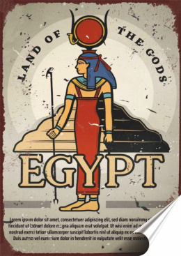 Hgipt Plakat folia Samoprzylepna Plakietka(motyw metalowego szyldu)#20238