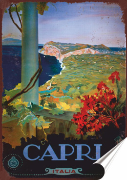 Capri Plakat folia Samoprzylepna Plakietka(motyw metalowego szyldu)#20273