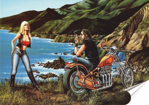 Harley Plakat folia Samoprzylepna Plakietka(motyw metalowego szyldu)#20289