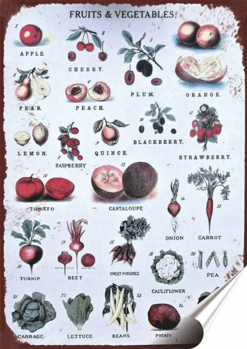 Warzywa Owoce Plakat folia Samoprzylepna (motyw metalowego szyldu)#20845