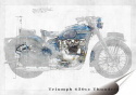 Triumph Plakat folia Samoprzylepna Plakietka(motyw metalowego szyldu)#21261